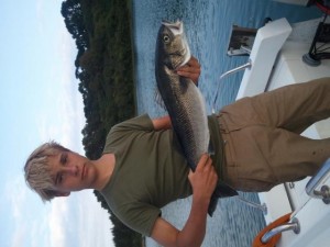 108_2011-08-17_202934